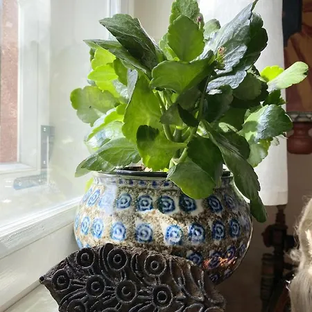 Homestay Dom Tkacza *