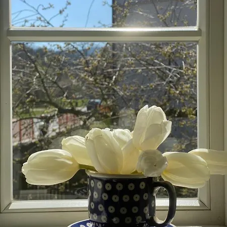 Dom Tkacza ホームステイ