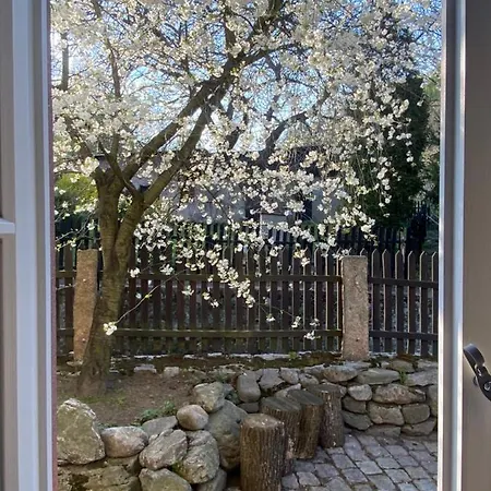 ホームステイ Dom Tkacza *