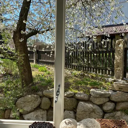 Homestay Dom Tkacza *