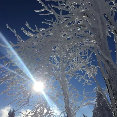 Dom Tkacza ピエシツェ