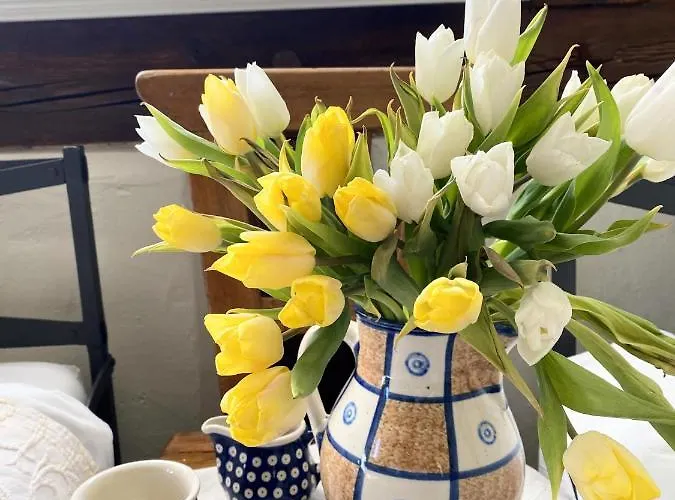 ホームステイ Dom Tkacza ピエシツェ