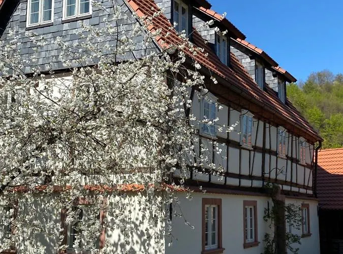 Dom Tkacza ホームステイ ピエシツェ