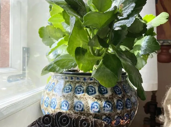 Quarto em Acomodações Particulares Dom Tkacza *