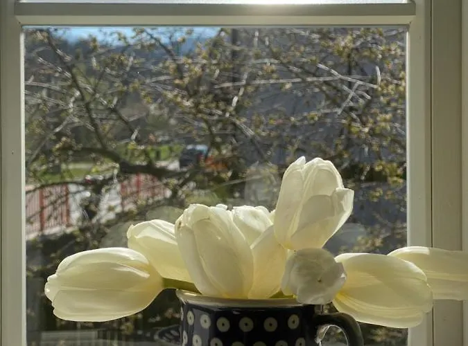 Dom Tkacza Quarto em Acomodações Particulares