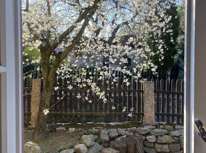 ホームステイ Dom Tkacza *