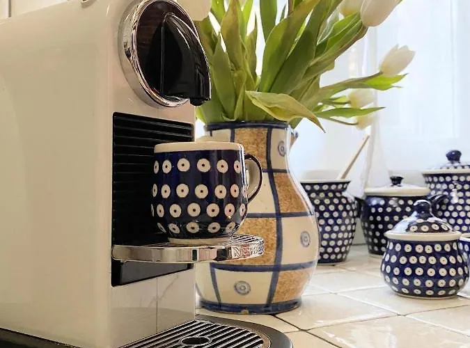 Dom Tkacza ホームステイ *