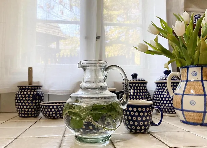 ホームステイ Dom Tkacza