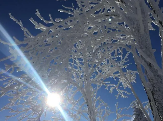 Dom Tkacza ピエシツェ