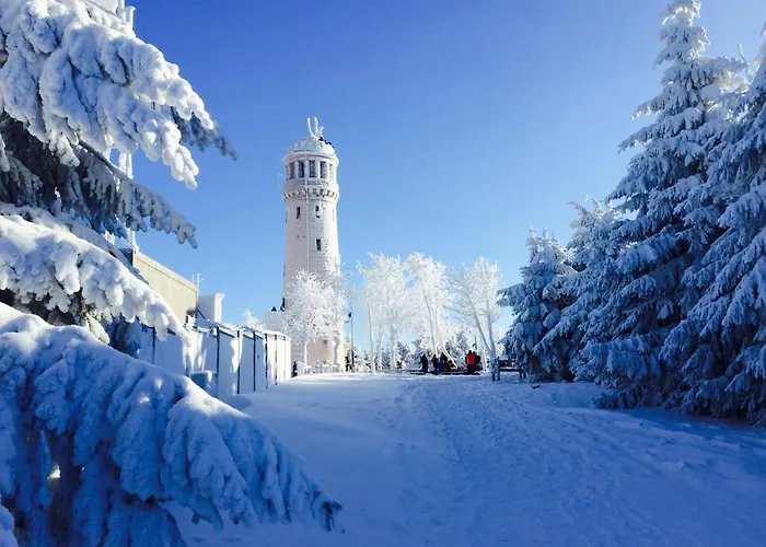 Dom Tkacza ホームステイ ピエシツェ